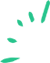shape 48